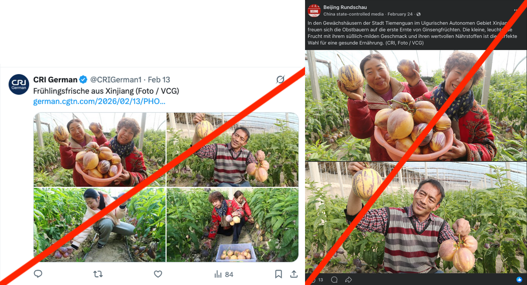 Figure 2: Screenshots of posts from two Chinese international media outlets. Smiling faces and fresh produce are intended to create the impression of a happy population in Xinjiang. In reality, the CPC systematically oppresses the Uyghurs in this region. 