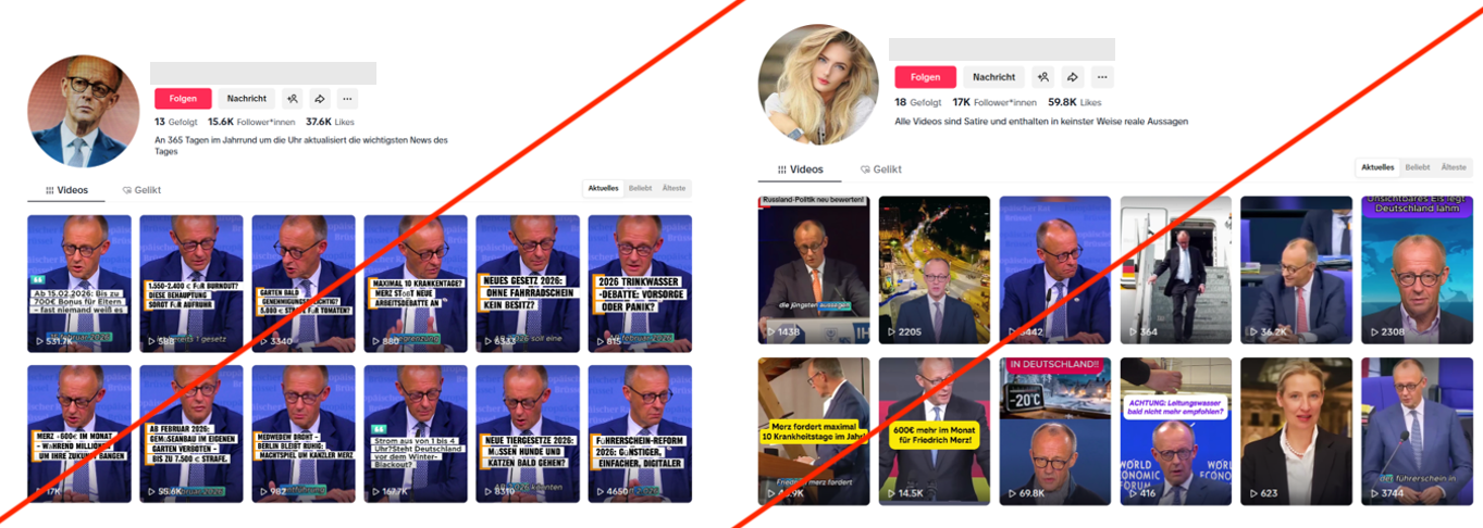 Abbildung 2. Beispiele der Accounts, die sich auf Friedrich Merz fokussieren.