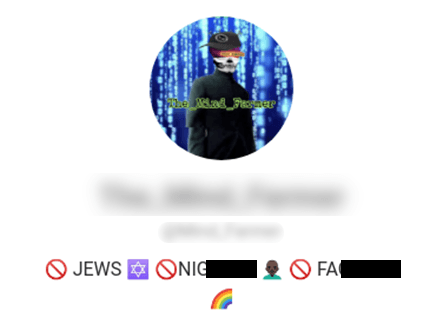 Der Kanalname und rassistische sowie homophobe Beleidigungen wurden unkenntlich gemacht.