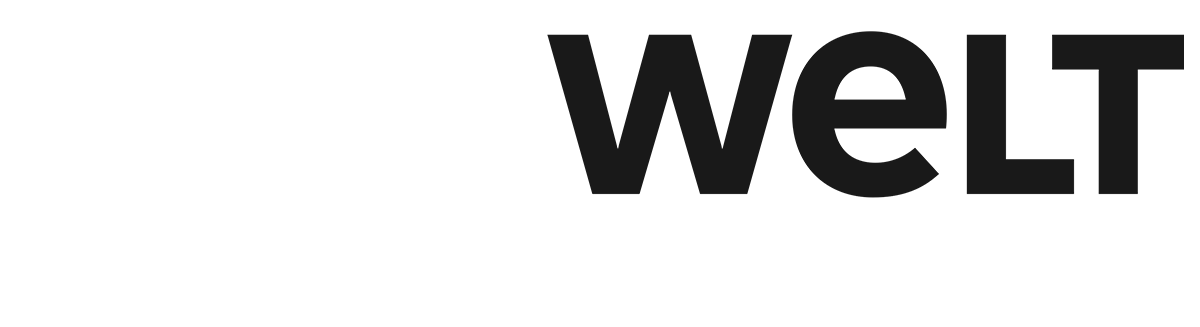 30_WELT.png - logo